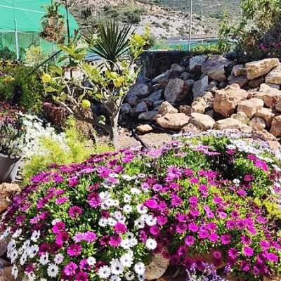 Floristería La Campana - Instalaciones (12)