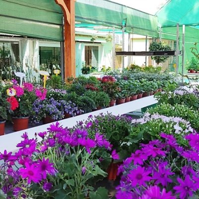 Floristería La Campana - Instalaciones (13)