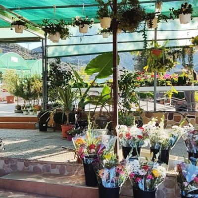 Floristería La Campana - Instalaciones (20)