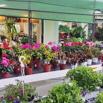 Floristería La Campana - Instalaciones (30)