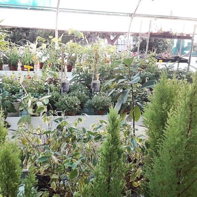 Floristería La Campana - Instalaciones (34)