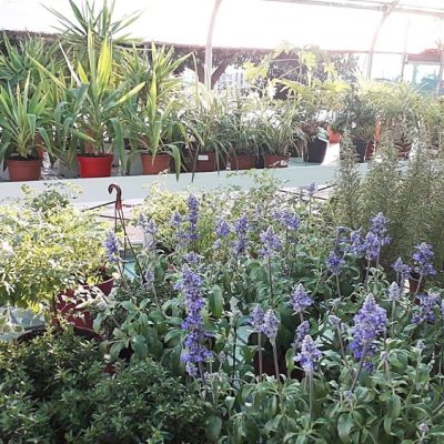 Floristería La Campana - Instalaciones (38)