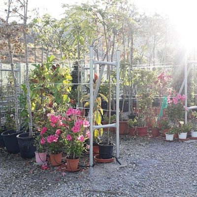 Floristería La Campana - Instalaciones (39)