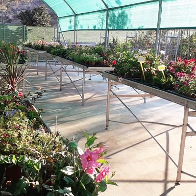Floristería La Campana - Instalaciones (44)