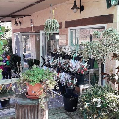 Floristería La Campana - Instalaciones (48)