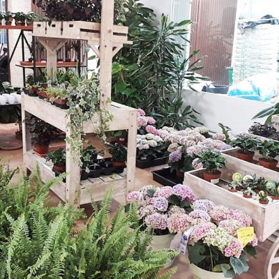 Floristería La Campana - Instalaciones (59)