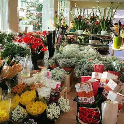 Floristería La Campana - Instalaciones (6)