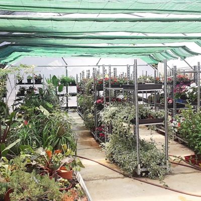 Floristería La Campana - Instalaciones (61)